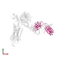 Fab antibody fragment light chain in PDB entry 6qno, assembly 1, front view.
