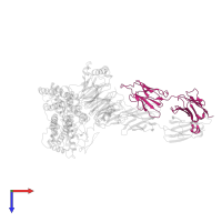 Fab antibody fragment light chain in PDB entry 6qno, assembly 1, top view.