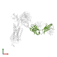 Fab antibody fragment heavy chain in PDB entry 6qno, assembly 1, front view.