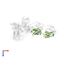 Fab antibody fragment heavy chain in PDB entry 6qno, assembly 1, top view.