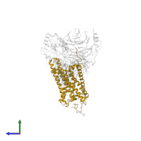 Rhodopsin in PDB entry 6qno, assembly 1, side view.