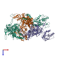 Hetero trimeric assembly 1 of PDB entry 6qpf coloured by chemically distinct molecules, top view.