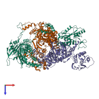 Hetero trimeric assembly 3 of PDB entry 6qpf coloured by chemically distinct molecules, top view.