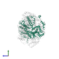 Polymerase acidic protein in PDB entry 6qpf, assembly 1, side view.