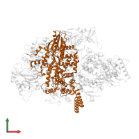 RNA-directed RNA polymerase catalytic subunit in PDB entry 6qpf, assembly 1, front view.