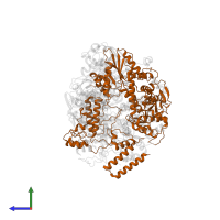 RNA-directed RNA polymerase catalytic subunit in PDB entry 6qpf, assembly 1, side view.