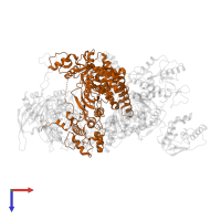 RNA-directed RNA polymerase catalytic subunit in PDB entry 6qpf, assembly 1, top view.