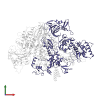 Polymerase basic protein 2 in PDB entry 6qpf, assembly 1, front view.