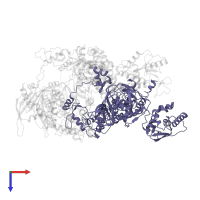 Polymerase basic protein 2 in PDB entry 6qpf, assembly 1, top view.