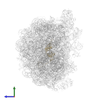 Large ribosomal subunit protein eL20A in PDB entry 6qt0, assembly 1, side view.