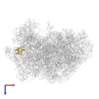 Large ribosomal subunit protein eL20A in PDB entry 6qt0, assembly 1, top view.
