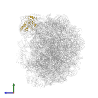 uL1 in PDB entry 6qtz, assembly 1, side view.