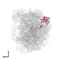 Large ribosomal subunit protein uL4A in PDB entry 6qtz, assembly 1, side view.