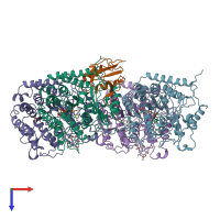 PDB entry 6quy coloured by chain, top view.