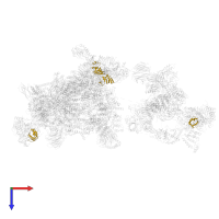 Small nuclear ribonucleoprotein Sm D1 in PDB entry 6qx9, assembly 1, top view.