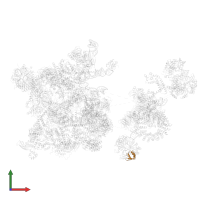 U6 snRNA-associated Sm-like protein LSm6 in PDB entry 6qx9, assembly 1, front view.