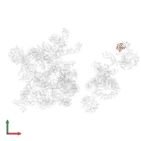 U2 small nuclear ribonucleoprotein B'' in PDB entry 6qx9, assembly 1, front view.