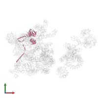 Probable ATP-dependent RNA helicase DDX23 in PDB entry 6qx9, assembly 1, front view.