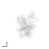 Splicing factor 3B subunit 5 in PDB entry 6qx9, assembly 1, side view.