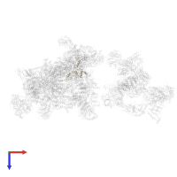 U4/U6.U5 tri-snRNP-associated protein 1 in PDB entry 6qx9, assembly 1, top view.