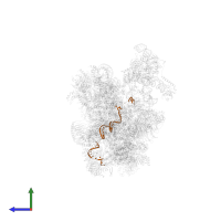 U6 snRNA in PDB entry 6qx9, assembly 1, side view.