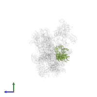 Splicing factor 3B subunit 3 in PDB entry 6qx9, assembly 1, side view.