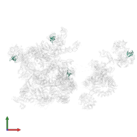 Small nuclear ribonucleoprotein G in PDB entry 6qx9, assembly 1, front view.