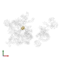 Thioredoxin-like protein 4A in PDB entry 6qx9, assembly 1, front view.