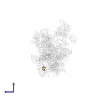 U6 snRNA-associated Sm-like protein LSm4 in PDB entry 6qx9, assembly 1, side view.