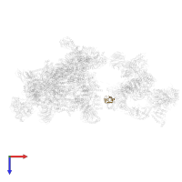 U6 snRNA-associated Sm-like protein LSm4 in PDB entry 6qx9, assembly 1, top view.