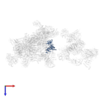 Serine/threonine-protein kinase PRP4 homolog in PDB entry 6qx9, assembly 1, top view.