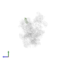U2 small nuclear ribonucleoprotein A' in PDB entry 6qx9, assembly 1, side view.