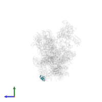 U6 snRNA-associated Sm-like protein LSm5 in PDB entry 6qx9, assembly 1, side view.