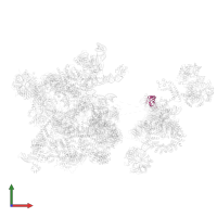 Splicing factor 3B subunit 4 in PDB entry 6qx9, assembly 1, front view.