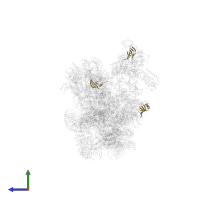 Small nuclear ribonucleoprotein E in PDB entry 6qx9, assembly 1, side view.