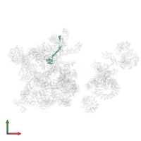 U1 small nuclear ribonucleoprotein 70 kDa in PDB entry 6qx9, assembly 1, front view.