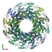 PDB entry 6qym coloured by chain, front view.