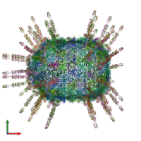 PDB entry 6qz0 coloured by chain, front view.