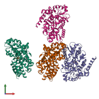 PDB entry 6r1b coloured by chain, front view.