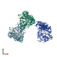 PDB entry 6r1r coloured by chain, front view.