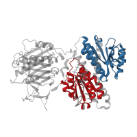 The deposited structure of PDB entry 6r4e contains 4 copies of Pfam domain PF01380 (SIS domain) in Glutamine--fructose-6-phosphate aminotransferase [isomerizing] 1. Showing 2 copies in chain A.