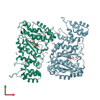 PDB entry 6r5d coloured by chain, front view.