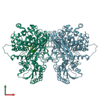 PDB entry 6r5o coloured by chain, front view.