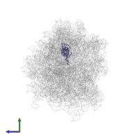 P-tRNA in PDB entry 6r6g, assembly 1, side view.