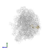 Large ribosomal subunit protein eL32 in PDB entry 6r87, assembly 1, side view.