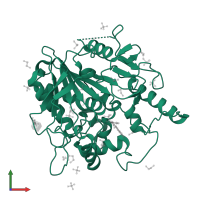 Palmitoleoyl-protein carboxylesterase NOTUM in PDB entry 6r8r, assembly 1, front view.