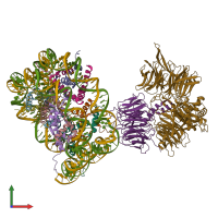 PDB entry 6r8z coloured by chain, front view.