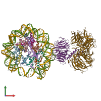 PDB entry 6r90 coloured by chain, front view.