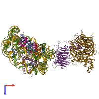 PDB entry 6r91 coloured by chain, top view.