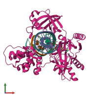 PDB entry 6rar coloured by chain, front view.